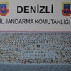 Denizli'de tarihi eser operasyonu