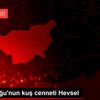 Güneydoğu nun kuş cenneti Hevsel Güneydoğu nun kuş cenneti Hevsel