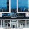 Ana vatanla sandık bağı Ana vatanla sandık bağı