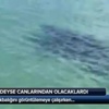 ‘Kentsel yenileme’ye odaklandı
