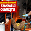Cnn, Rusya Yayınlarına Yeniden Başladı Cnn, Rusya Yayınlarına Yeniden Başladı