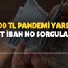 29 Haziran Pazartesi 1000 TL pandemi yardımı hesaplara son dakika yattı mı? 1000 TL pandemi yardımı PTT İBAN no sorgulama