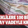 Halkbank, emeklilere 100 bin TL 36 ay vadeyle kredi veriyor! TC kimlik no SMS yolla hemen al! İşte kredi başvuru ekranı