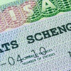 Almanya, Schengen'i askıya aldı Almanya, Schengen'i askıya aldı