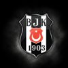 Bozar yazar