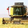Diyarbakır da tescilli Karacadağ Pirinci hasadı başladı
