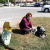 Yenişehirliler köpeklerin canlı canlı ölüme terk edilmesine ... Yenişehirliler köpeklerin canlı canlı ölüme terk edilmesine ...