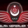 Türk Hackerlar Hollanda'ya darbe indirdi Türk Hackerlar Hollanda'ya darbe indirdi