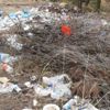 Piknik alanındaki kirlilik valiyi kızdırdı