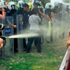 Gazcı polise fidan dikip sulama cezası