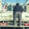 Kamyonetin arkasında tehlikeli yolculuk yürekli ağza getirdi