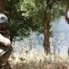 Son dakika: Bakanlık açıkladı: 2 terörist güvenlik güçlerine teslim oldu Son dakika: Bakanlık açıkladı: 2 terörist güvenlik güçlerine teslim oldu
