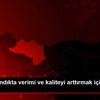 Ordu da fındıkta verimi ve kaliteyi arttırmak için ...