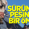 Cumhurbaşkanı Erdoğan konuşuyor