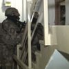 'Fino Gürkan’ın çetesine operasyon