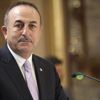 ﻿Bakan Çavuşoğlu, Pakistanlı mevkidaşı ile görüştü