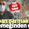 Tekirdağ’daki bir fabrikada çalışan işçinin yemeğinden, kopmuş parmak çıktı! Tekirdağ’daki bir fabrikada çalışan işçinin yemeğinden, kopmuş parmak çıktı!