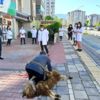 Malatyalı kuaförler işbaşı yaptı Malatyalı kuaförler işbaşı yaptı