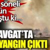 ﻿Antalya Manavgat'ta yine yangın çıktı