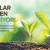 Kelebek Mobilya’dan Hatay'a 1935 fidan bağışı Kelebek Mobilya’dan Hatay'a 1935 fidan bağışı