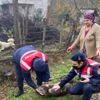 Sokak köpeği yaraladı jandarma sahip çıktı