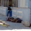 Tunceli Valiliği'nden son dakika açıklaması!