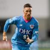 Fernando Torres, Atletico Madrid B takımında teknik direktörlüğe başlayacak Fernando Torres, Atletico Madrid B takımında teknik direktörlüğe başlayacak