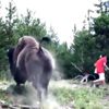 Parktaki bizonun saldırısına uğrayan 9 yaşındaki çocuk ... Parktaki bizonun saldırısına uğrayan 9 yaşındaki çocuk ...