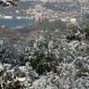 İstanbul'da beklenen kar yağdı! Kar yağmasıyla beraber İstanbul'da barajlar doldu İstanbul'da beklenen kar yağdı! Kar yağmasıyla beraber İstanbul'da barajlar doldu