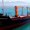 Muğla'da kuru yük gemisi karaya oturdu