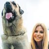 Anneka Svenska Sivas’a gelip Kangallar’ı çekt