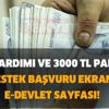 Kira yardımı ve 3000 TL pandemi destek başvuru ekranı e-devlet sayfası! (esnaf destek paketi e devlet başvurusu)
