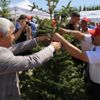 Etimesgut'ta 15 Temmuz şehitlerinin künyesi ağaçlara asıldı