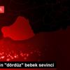 Genç çiftin "dördüz" bebek sevinci