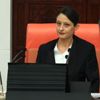 Şafak Pavey'e ilk duruşmada beraat Şafak Pavey'e ilk duruşmada beraat