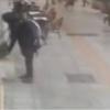 Polisi böyle alarma geçirdi Polisi böyle alarma geçirdi