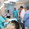 Ekrem İmamoğlu’ndan sokak canlıları talimatı Ekrem İmamoğlu’ndan sokak canlıları talimatı