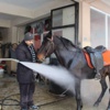 Foto Galeri: Yurdum insanlarından ilginç fikirler