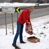 Sokak hayvanları unutulmadı