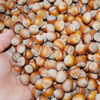 Kuruyemiş fiyatları cep yakıyor Kuruyemiş fiyatları cep yakıyor