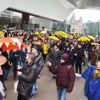 Hollanda'da salgın tedbirleri protesto edildi Hollanda'da salgın tedbirleri protesto edildi