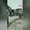 Dışişleri Bakanlığı'ndan Çin uyarısı