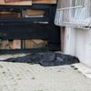 Beyoğlu’nda feci ölüm Beyoğlu’nda feci ölüm