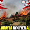 ﻿Bingöl'de orman yangını: 2 hafta arayla aynı yer alev alev