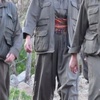 Şırnak'ta 8 PKK'lı teslim oldu Şırnak'ta 8 PKK'lı teslim oldu