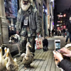 İstiklal Caddesi'nde ördek sürüsü