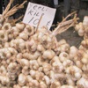 Sarımsak rekor kırıyor! Sarımsak rekor kırıyor!