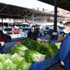 Vali Gürel halk pazarındaki tedbirleri denetledi Vali Gürel halk pazarındaki tedbirleri denetledi