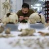 Anadolu'nun gizli 'DNA' hazinesini bulacak ilk laboratuvar Anadolu'nun gizli 'DNA' hazinesini bulacak ilk laboratuvar