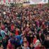 20 ton hamsi 2 saatte bitti!